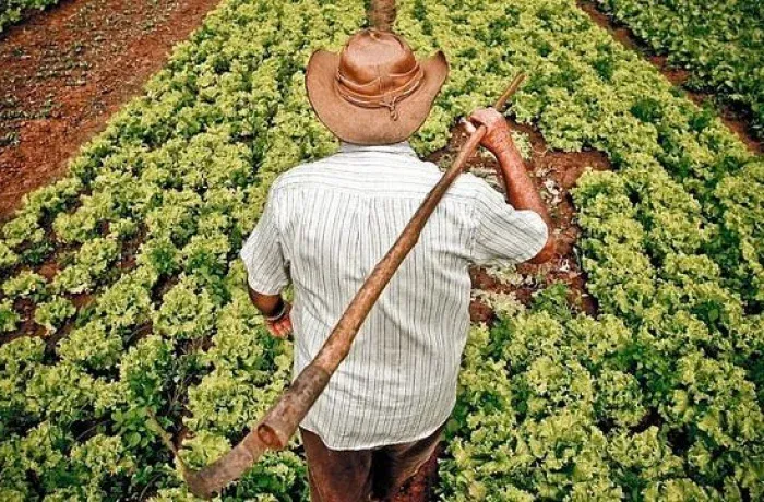 A questão agrária: a permanência do latifúndio e da violência no campo