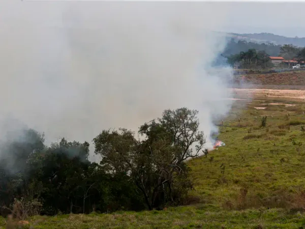 O  agro é fogo e destruição