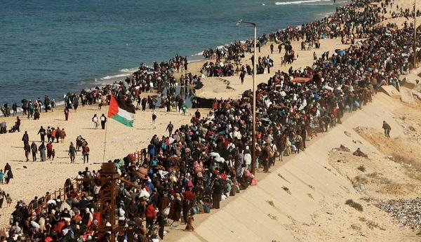 Cessar-fogo é um passo vitorioso, o fim é a libertação da Palestina