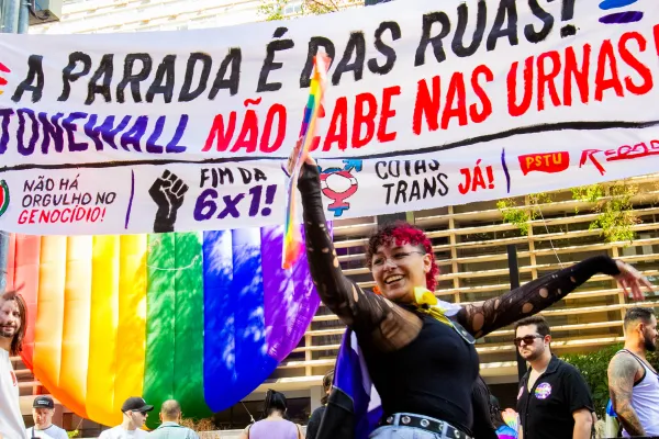 30 anos da Parada LGBT de São Paulo: da luta contra a repressão ao desafio de resgatar o espírito de Stonewall