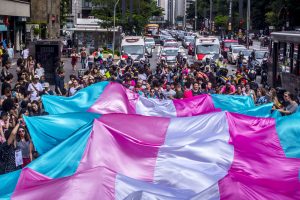 29 de janeiro: Dia da Visibilidade trans e travesti