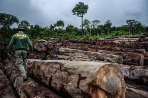 Sem ruptura com o agro, não será possível salvar a Amazônia