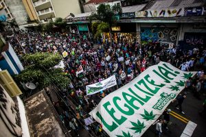 Maconha: Congresso reacionário reage à decisão limitada do STF, enquanto governo se acovarda