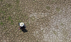 Amazônia: A ameaça de uma seca mais extrema
