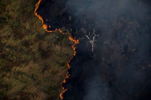 Capitalismo aprofunda crise climática e racismo na Amazônia